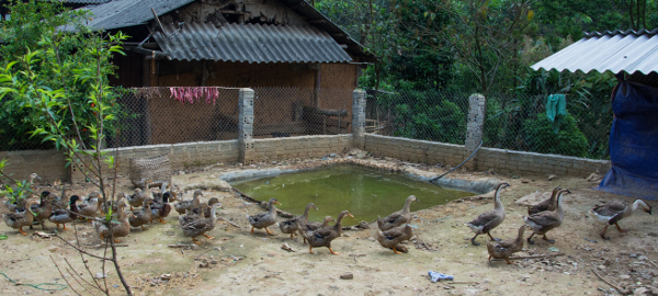 Rencontres du vietnam december 2016