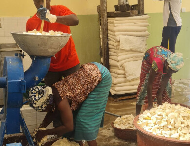Plateforme de transformation du manioc en Côte d'Ivoire