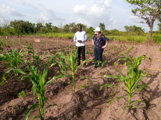 Agriculteur dans son champ en Côte d'Ivoire - Entrepreneurs du Monde