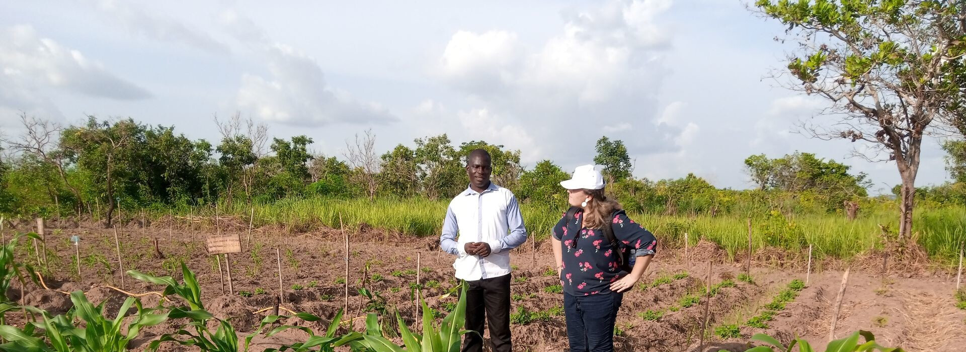 Agriculteur dans son champ en Côte d'Ivoire - Entrepreneurs du Monde