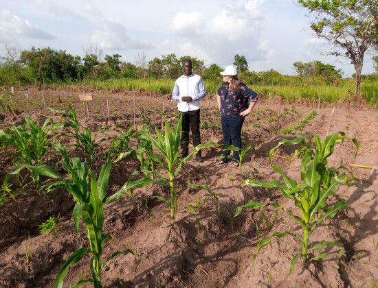 Agriculteur dans son champ en Côte d'Ivoire - Entrepreneurs du Monde