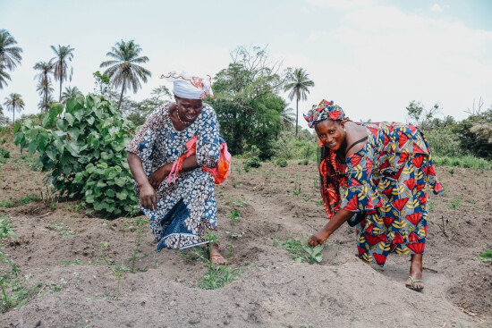 Agricultrices en Guinée - Entrepreneurs du Monde