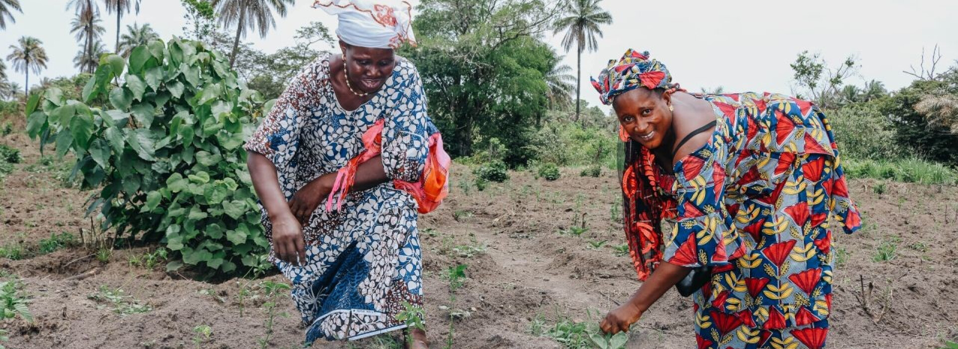 Agricultrices en Guinée - Entrepreneurs du Monde