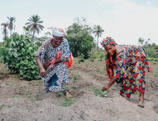 Agricultrices en Guinée - Entrepreneurs du Monde