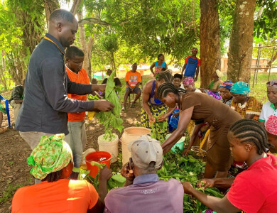 Formation agroécologie au Libéria - Elili - Entrepreneurs du Monde