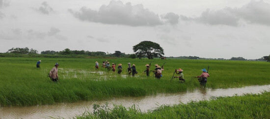 Zones rurales au Myanmar - Entrepreneurs du Monde