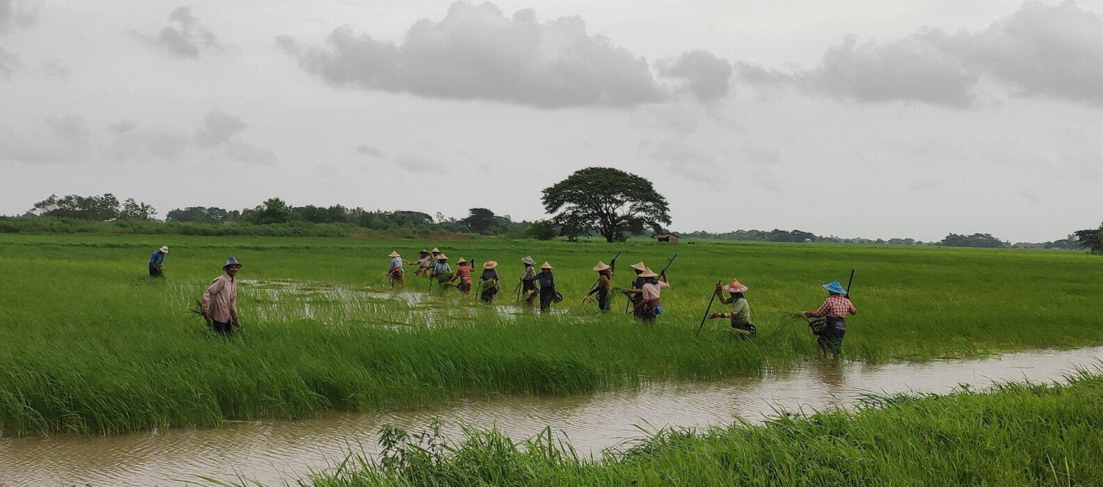 Zones rurales au Myanmar - Entrepreneurs du Monde