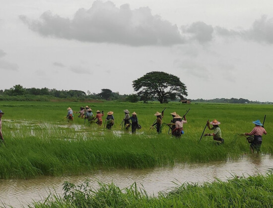 Zones rurales au Myanmar - Entrepreneurs du Monde