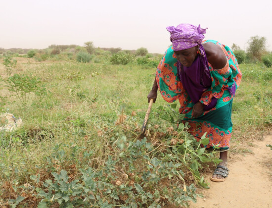 Agricultrice au Sénégal - Entrepreneurs du Monde