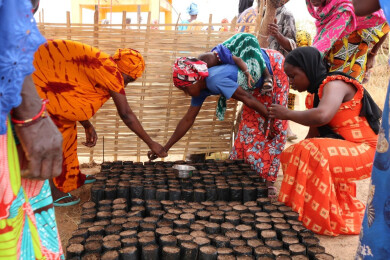 Formation en agro-écologie - Fina Tawa - Entrepreneurs du Monde
