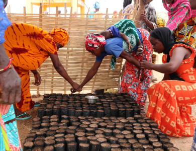 Formation en agro-écologie - Fina Tawa - Entrepreneurs du Monde