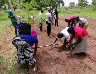 Formation agricole au Togo - Entrepreneurs du Monde