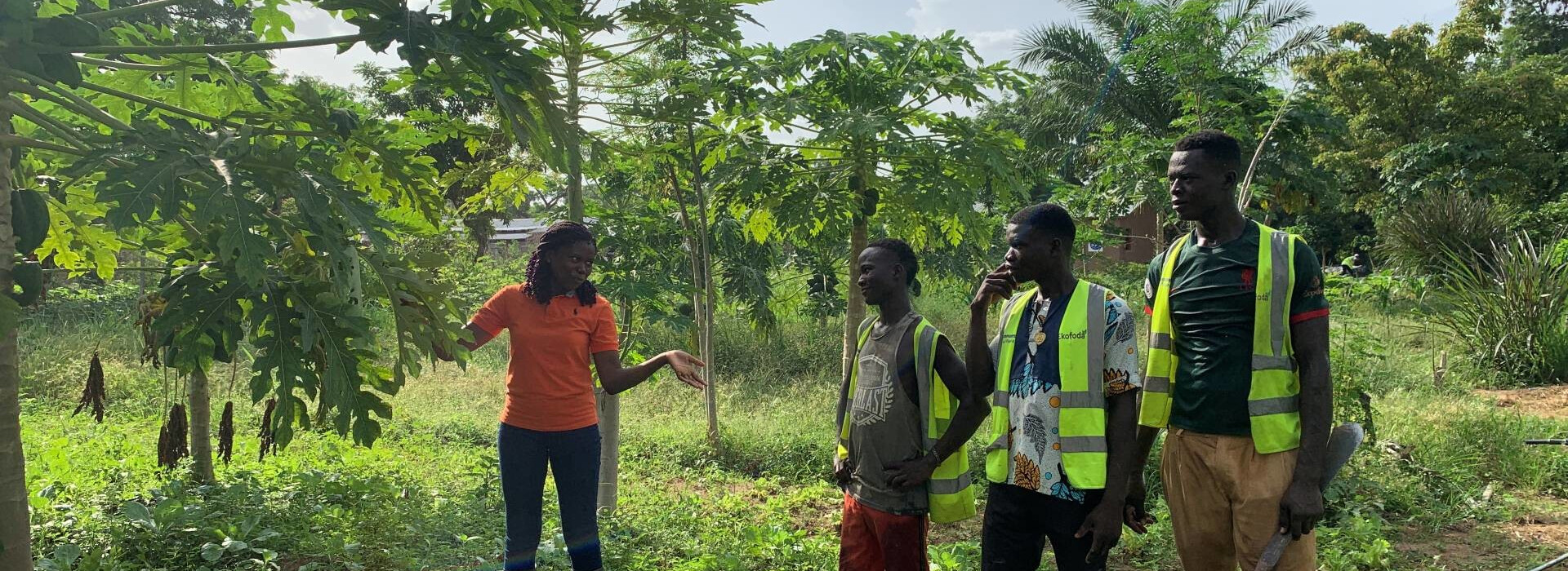 Formation agricole au Togo - Entrepreneurs du Monde