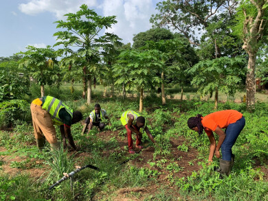 Formation pratique par Ekofoda au Togo