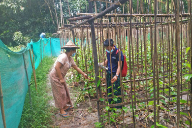 une maraîchère reçoit la visite d'un animateur de Sont Oo Tehtwin sur sa parcelle