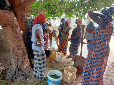 Un groupe d'agricultrices participe à une école aux champs sur la fabrication de biopesticides, sou
