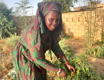 Bénéficiaire de Fina Tawa au Sénégal
