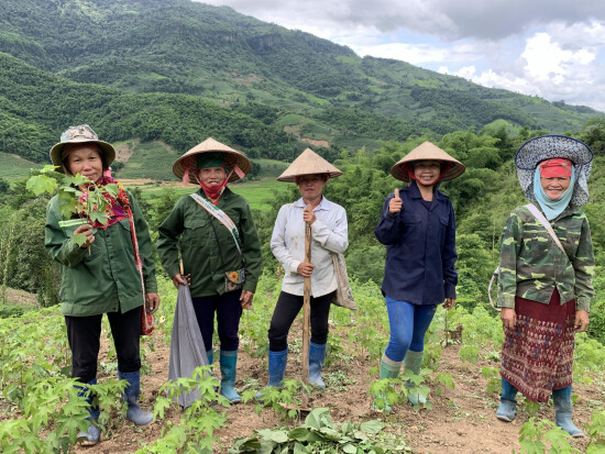 4 agricultrices vietnamiennes et une formatrice du programme Anh Chi Em sont dans une plantation de