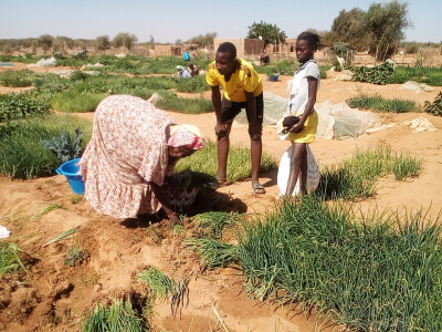 Formation agricole au Sénégal