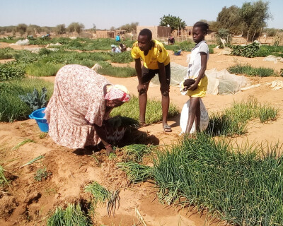 Formation agricole au Sénégal