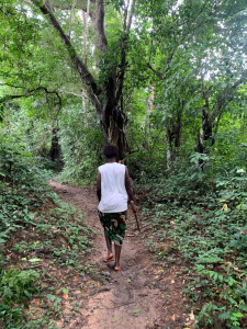 Bénéficiaire dans la forêt protégée du Libéria