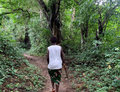 Bénéficiaire dans la forêt protégée du Libéria