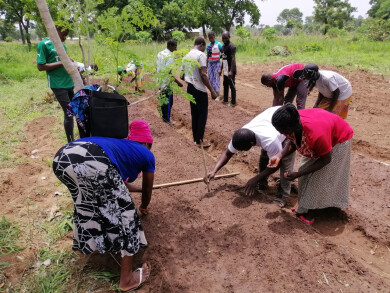 Formation au centre de formation Ekofoda au Togo - Entrepreneurs du Monde