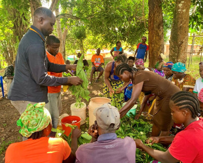 Formation école aux champs au Libéria