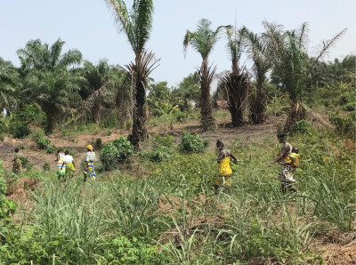 Visite sur le terrain avant le lancement d'un programme au Libéria - Entrepreneurs du Monde