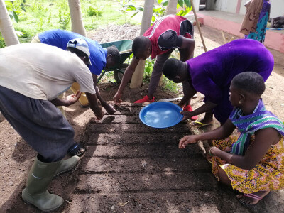 Formation aux techniques agroécologiques au Togo
