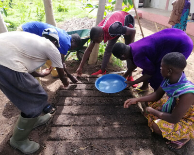 Formation aux techniques agroécologiques au Togo