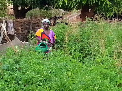 Maraichère au Sénégal