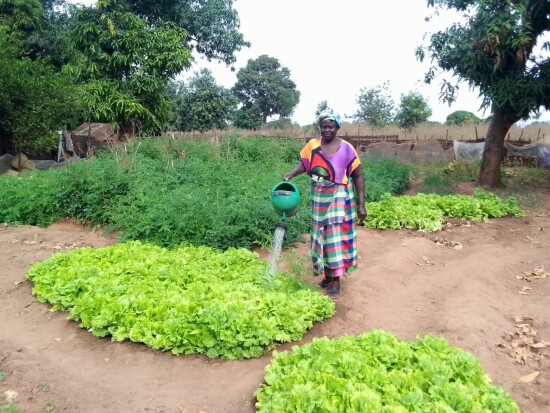 Maraichère au Sénégal