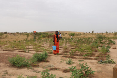 texte alternatif de l'image