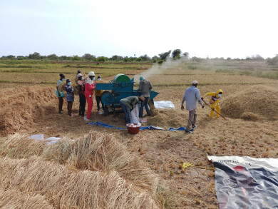 texte alternatif de l'image