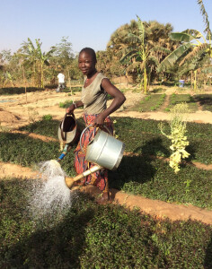 texte alternatif de l'image