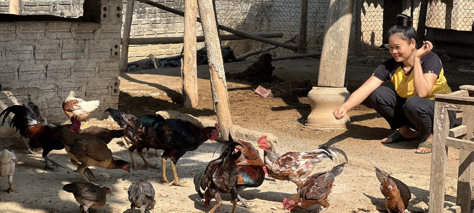Une bénéficiaire d'Anh Chi Em au Vietnam nourrit ses poules et ses coqs.