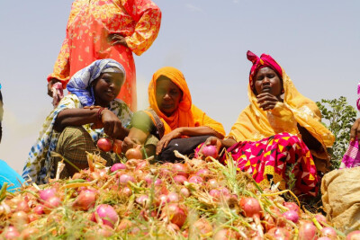Trois productrices d'oignons accompagnées par Fina Tawa au Sénégal sont assises devant leur récolte