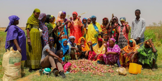 Groupe de productrices d'oignons appuyées par Fina Tawa au Sénégal