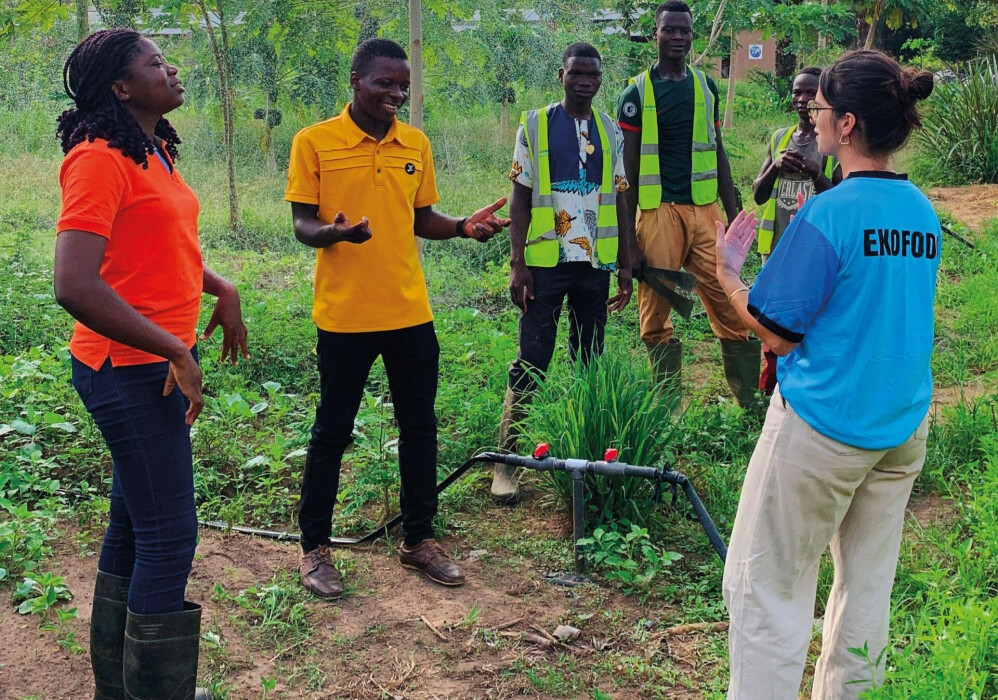 Échange entre l'équipe d'Ekofoda et des productrices et producteurs, dans une parcelle cultivée au 