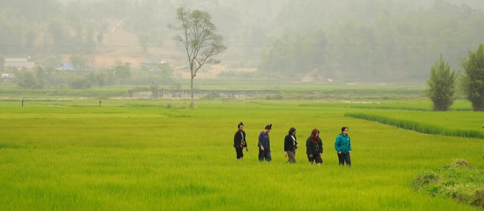 L'équipe d'ACE rend visite à une bénéficiaire dans son champ de riz, au Vietnam