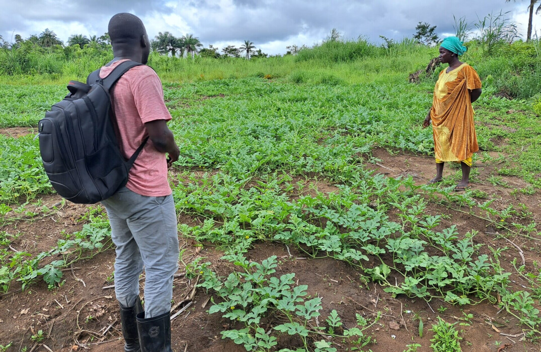 Un conseiller technique agricole de Wakili rend visite à une productrice dans son champ.
