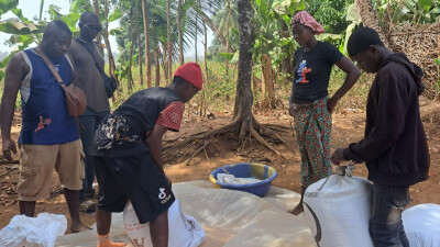 Des producteurs participent à une école aux champs