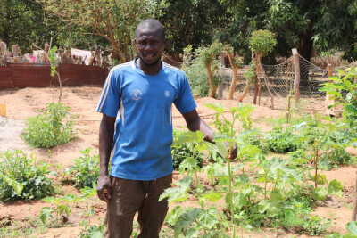 Un agriculteur accompagné par Fansoto au Sénégal est dans son champ