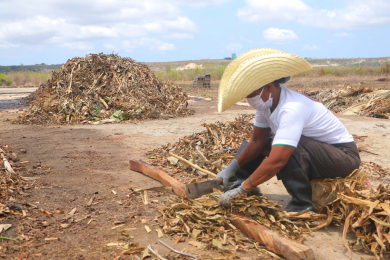 Un homme accroupi découpe des déchets organiques en vue de leur transformation en compost