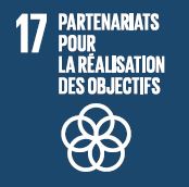 Partenariats pour la réalisation des objectifs