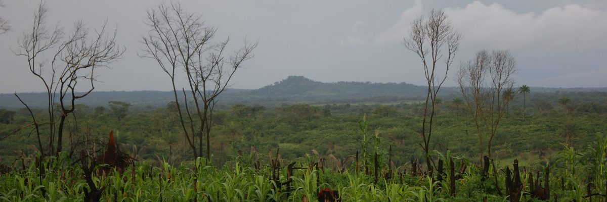 Guinea Conakry