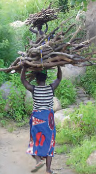 Femme portant du bois