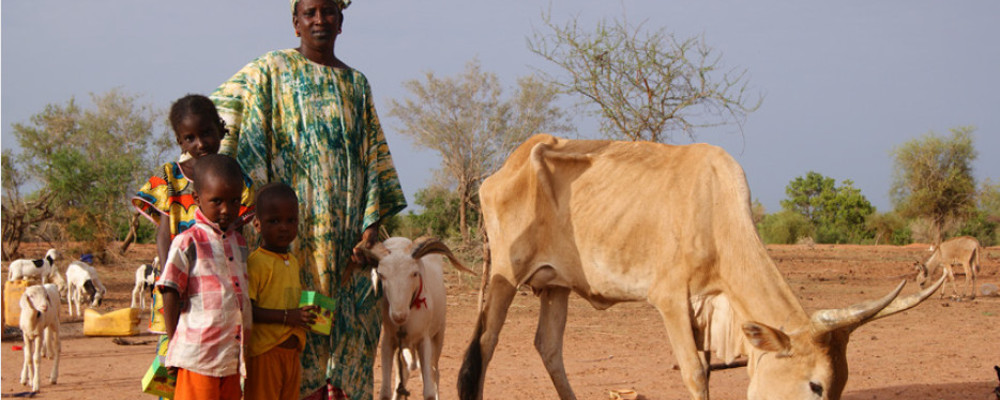 Une famille au Sénégal