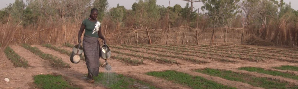 Une bénéficiaire agricultrice